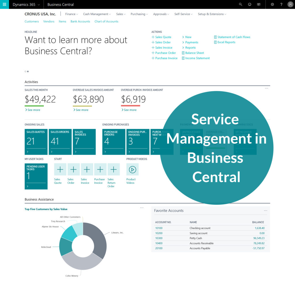 DYNAMICS 365 BUSINESS CENTRAL SERVICE MANAGEMENT